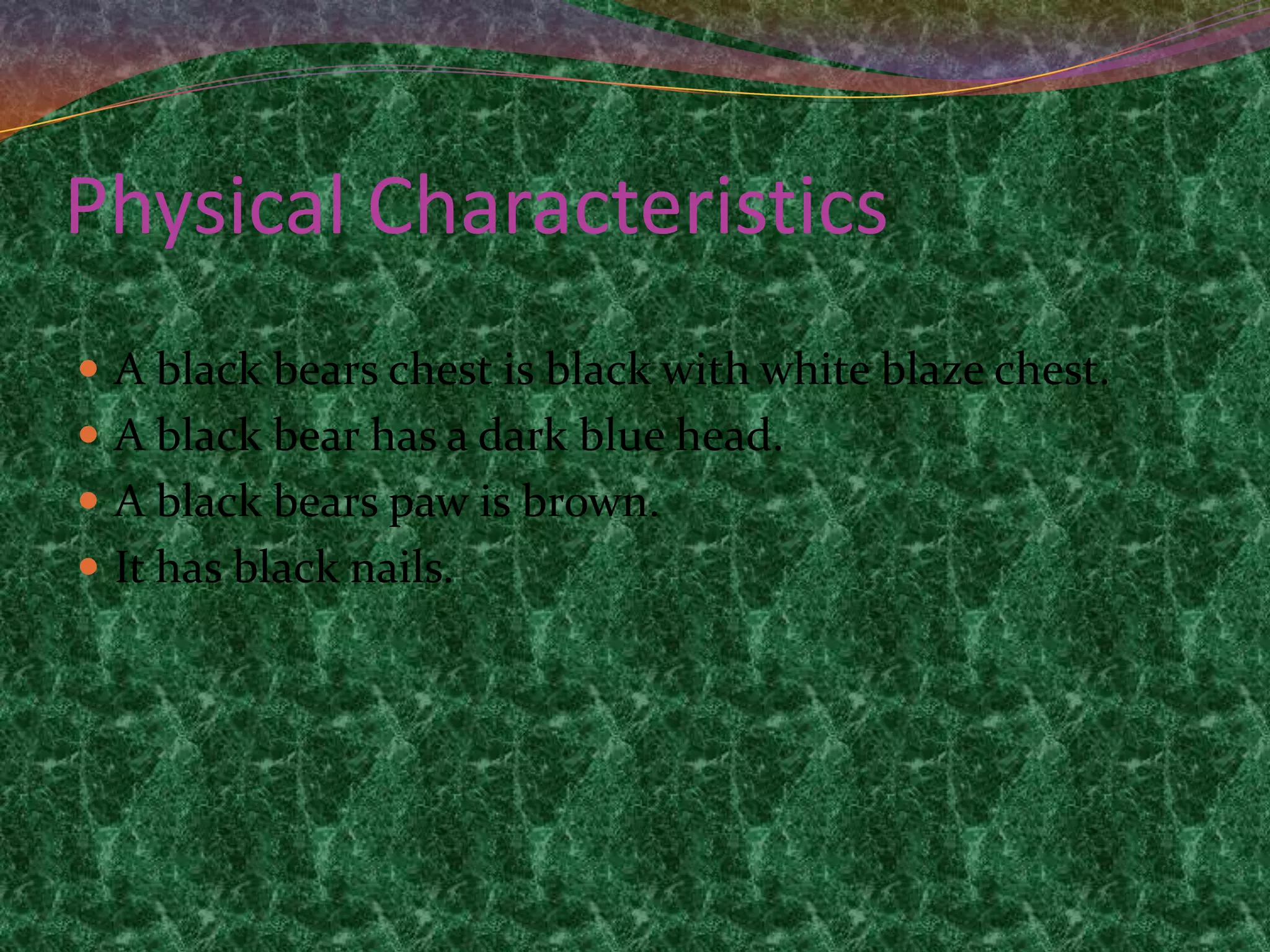 Physical CharacteristicsA black bears chest is black with white blaze chest.A black bear has a dark blue head.A black bears paw is brown.It has black nails.