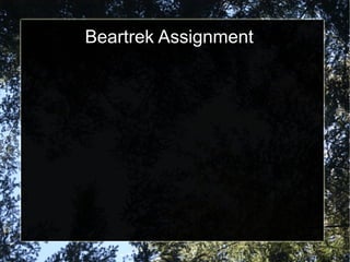Beartrek Assignment. 
 
