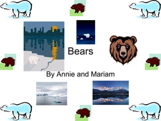 Bears By Annie and Mariam 