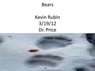 Bears

Kevin Rubin
 3/19/12
 Dr. Price
 