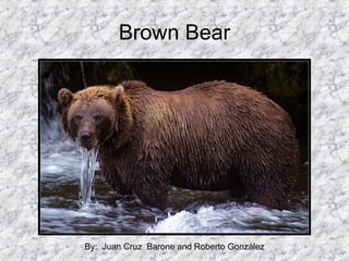 Brown Bear By:  Juan Cruz  Barone and Roberto González 
