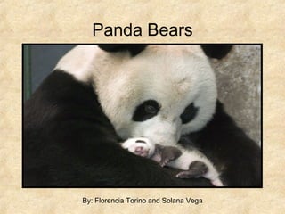 Panda Bears By: Florencia Torino and Solana Vega 