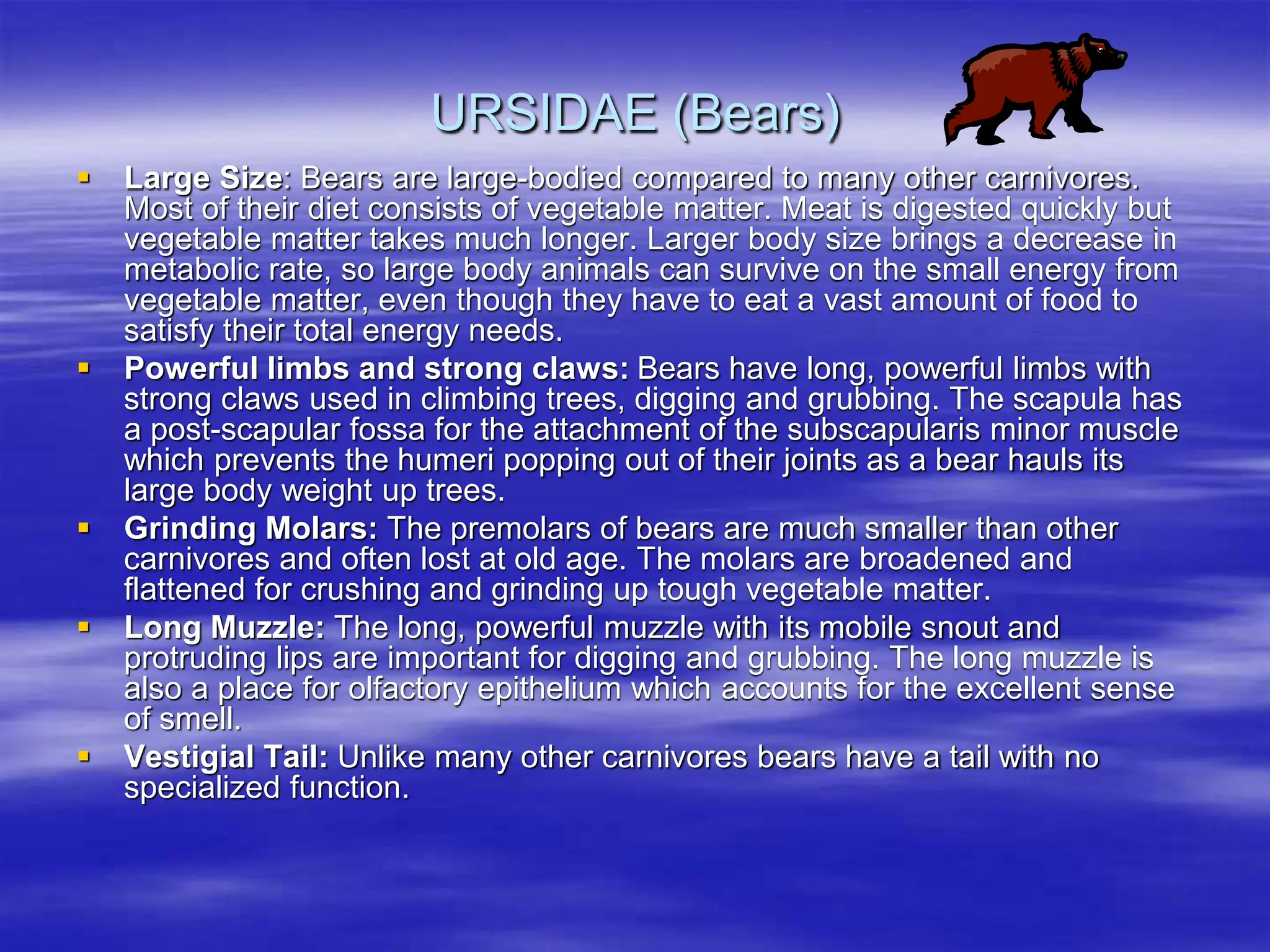 Bears and Beams Neutrality advantages worldwideweb.ppt | Free Download