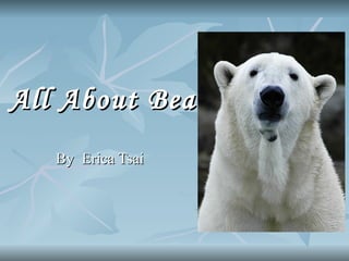 All About Bears   By  Erica Tsai 