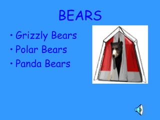 BEARS
• Grizzly Bears
• Polar Bears
• Panda Bears
 