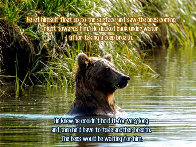 Bears like honey but no bees - Storytelling P.2