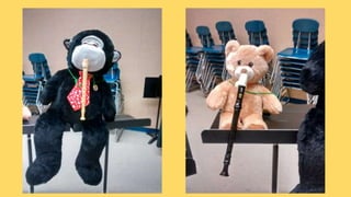 Beary Good Sleepover grade 3