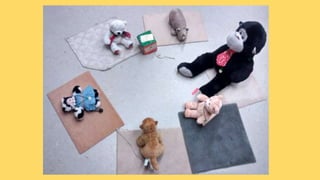 Beary Good Sleepover grade 3