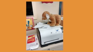 Beary Good Sleepover grade 3