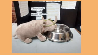 Beary Good Sleepover grade 3