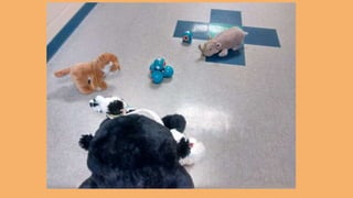 Beary Good Sleepover grade 3