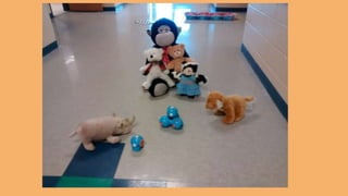 Beary Good Sleepover grade 3