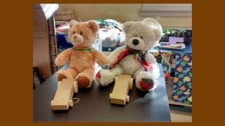 Beary Good Sleepover grade 3