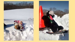 Beary Good Sleepover grade 3