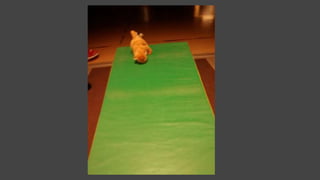 Beary Good Sleepover grade 3