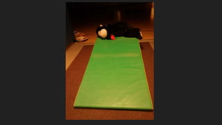 Beary Good Sleepover grade 3