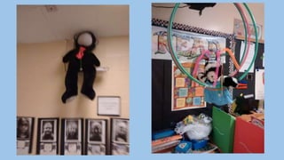 Beary Good Sleepover grade 3