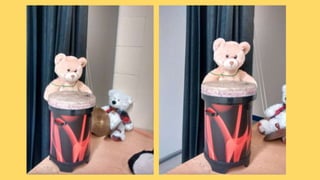 Beary Good Sleepover grade 3