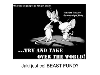Jaki jest cel BEAST FUND? 