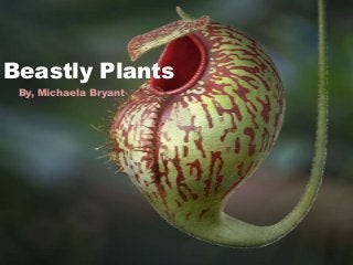 Beastly Plants
By, Michaela Bryant
 