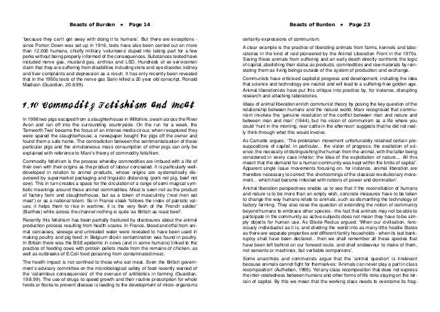 Sat essay can knowledge be a burden