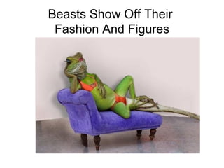 Beasts Show Off Their  Fashion And Figures 