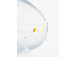 Beate+ marie, presentasjon 100% design 2010