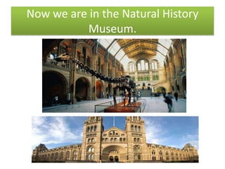 Now we are in the Natural History
          Museum.
 