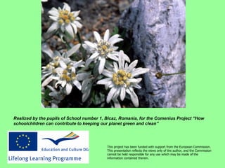 Realized by the pupils of School number 1, Bicaz, Romania, for the Comenius Project “How schoolchildren can contribute to keeping our planet green and clean” This project has been funded with support from the European Commission. This presentation reflects the views only of the author, and the Commission cannot be held responsible for any use which may be made of the information contained therein.