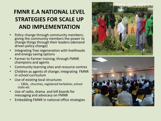 FMNR E.A NATIONAL LEVEL
STRATEGIES FOR SCALE UP
AND IMPLEMENTATION
• Policy change through community members;
giving the community members the power to
change things through their leaders-(demand
driven policy change)
• Integrating Tree regeneration with livelihoods
and energy saving options
• Farmer to Farmer training; through FMNR
champions and agents
• Community learning sites and resource centres
• Children as agents of change; integrating FMNR
in school curriculum
• Use of existing local structures
- CBOs, churches, registered herbalists, school
clubs etc
• Use of radio, drama and bill boards for
messaging and advocacy on FMNR
• Embedding FMNR in national office strategies
 