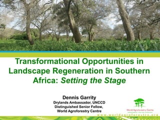 Transformational Opportunities in
Landscape Regeneration in Southern
Africa: Setting the Stage
Dennis Garrity
Drylands Ambassador, UNCCD
Distinguished Senior Fellow,
World Agroforestry Centre
 
