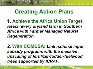 Transformational Opportunities in Landscape Regeneration in Southern Africa: Setting the Stage 
