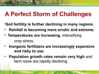 A Perfect Storm of Challenges
 
•Soil fertility is further declining in many regions.
• Rainfall is becoming more erratic ...