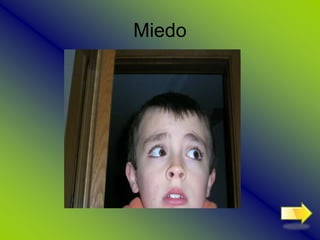 Miedo
 