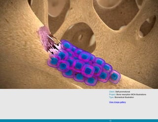 Client: Self-promotional
Project: Bone resorption MOA illustrations
Type: Biomedical illustration

View image gallery




10
 