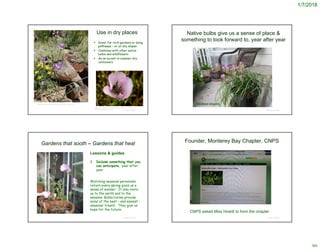 1/7/2018
© Project SOUND
Use in dry places
 Great for rock gardens or along
pathways – or on dry slopes
 Combines with other native
bulbs and wildflowers
 As an accent in summer-dry
containers
http://mdia.org/site/component/content/article/2-information/148-
wildflower-guide-blue-purple
https://nargs.org/forum/calochortus-cultivation?page=3
Native bulbs give us a sense of place &
something to look forward to, year after year
© Project SOUND
Brodiaea elegans
Gardens that sooth – Gardens that heal
1. Include something that you
can anticipate, year after
year
Watching seasonal perennials
return every spring gives us a
sense of wonder. It also roots
us to the earth and to the
seasons. Bulbs/corms provide
some of the best – and easiest -
seasonal ‘treats’. They give us
hope for the future.
© Project SOUND
Lessons & guides
Founder, Monterey Bay Chapter, CNPS
© Project SOUND
CNPS asked Miss Howitt to form the chapter
 