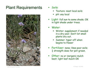 © Project SOUND
Plant Requirements  Soils:
 Texture: most local soils
 pH: any local
 Light: full sun to some shade; OK
in light shade under trees.
 Water:
 Winter: supplement if needed
in a dry year. Don’t let small
plants dry out.
 Summer: taper off when
begins to flower
 Fertilizer: none; likes poor soils;
½ strength dose for pot-grown.
 Other: no or inorganic mulch
best; light leaf mulch OK
©2016 Steven Thorsted
 