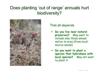 Does planting ‘out of range’ annuals hurt
biodiversity?
 Do you live near natural
preserves? May want to
include only those annual
native to area (from local-
source seeds)
 Do you want to plant a
species that hybridizes with
local species? May not want
to plant it
© Project SOUND
That all depends
 