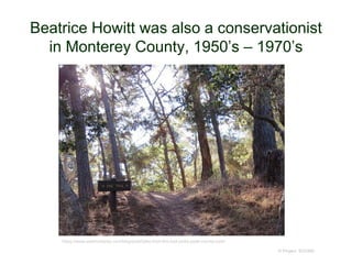 Beatrice Howitt was also a conservationist
in Monterey County, 1950’s – 1970’s
© Project SOUND
https://www.seemonterey.com/blog/post/tales-from-the-trail-jacks-peak-county-park/
 