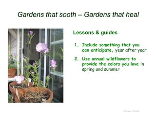 Gardens that sooth – Gardens that heal
1. Include something that you
can anticipate, year after year
2. Use annual wildflowers to
provide the colors you love in
spring and summer
© Project SOUND
Lessons & guides
 