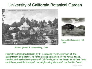 University of California Botanical Garden
Formally established (1890) by E. L. Greene (first chairman of the
Department of Botany), to form a living collection of the native trees,
shrubs, and herbaceous plants of California, with the intent to gather in as
rapidly as possible those of the neighboring states of the Pacific Coast.
© Project SOUND
http://botanicalgarden.berkeley.edu/the-garden
Moved to Strawberry Hill,
1925
 