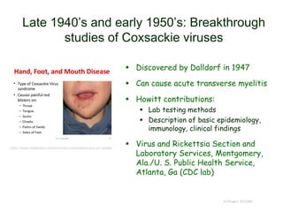 Late 1940’s and early 1950’s: Breakthrough
studies of Coxsackie viruses
 Discovered by Dalldorf in 1947
 Can cause acute transverse myelitis
 Howitt contributions:
 Lab testing methods
 Description of basic epidemiology,
immunology, clinical findings
 Virus and Rickettsia Section and
Laboratory Services, Montgomery,
Ala./U. S. Public Health Service,
Atlanta, Ga (CDC lab)
© Project SOUND
https://www.slideshare.net/doctorrao/coxsackieviruses-an-update
 