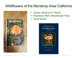 Wildflowers of the Monterey Area California
 Author: Beatrice F. Howitt
 Published: 1965, Wheelwright Press
 spiral-bound
© Project SOUNDhttps://montereybay.cnps.org/http://bnybt.kingme2016.us/index.php?page=540
 