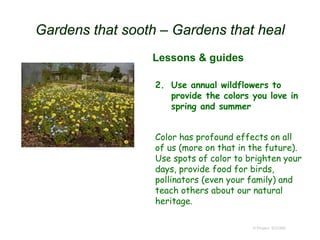 Gardens that sooth – Gardens that heal
2. Use annual wildflowers to
provide the colors you love in
spring and summer
Color has profound effects on all
of us (more on that in the future).
Use spots of color to brighten your
days, provide food for birds,
pollinators (even your family) and
teach others about our natural
heritage.
© Project SOUND
Lessons & guides
 
