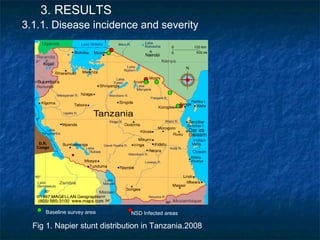 Achievements and outcomes in implementation of Napier smut and stunt resistance project in Tanzania