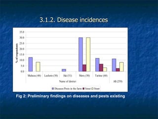 Achievements and outcomes in implementation of Napier smut and stunt resistance project in Tanzania