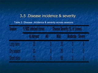 Achievements and outcomes in implementation of Napier smut and stunt resistance project in Tanzania