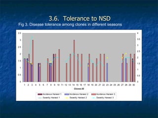 Achievements and outcomes in implementation of Napier smut and stunt resistance project in Tanzania