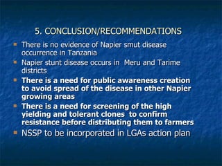 Achievements and outcomes in implementation of Napier smut and stunt resistance project in Tanzania