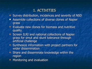 Achievements and outcomes in implementation of Napier smut and stunt resistance project in Tanzania